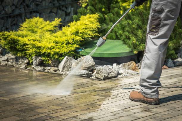 Best Machinery and Equipment Cleaning  in Palisade, CO