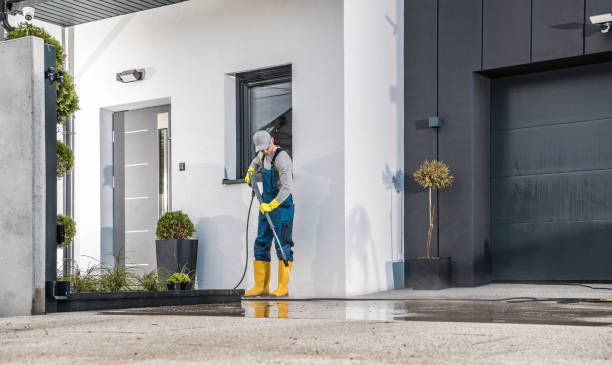 Best Solar Panel Cleaning  in Palisade, CO